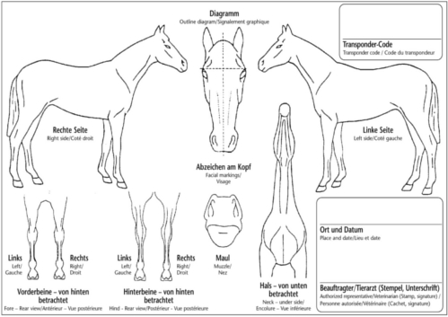 Equidenpass Nummer Pferd