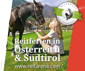 reitarena-medium-rectangle