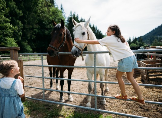 Famlienzeit am GUTshof - schon ab EUR 2.223,- pro Familie