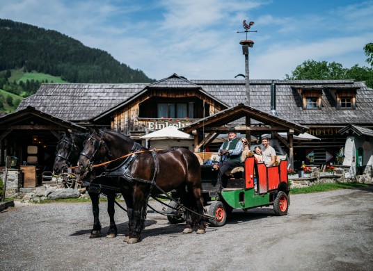 Pferdekutschen-Erlebnisfahrten