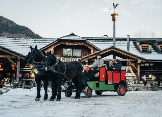 Pferdekutschen-Erlebnisfahrten