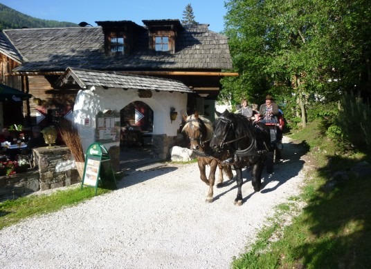 Pferdekutschen-Erlebnisfahrten
