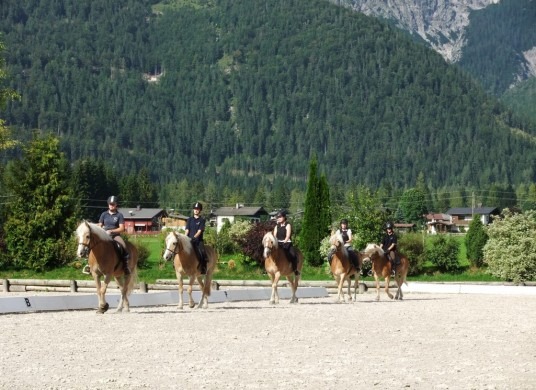 Reit- und Wanderferien im schönsten Tal der Kitzbüheler Alpen