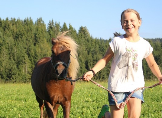 Single mit Kind am Reiterhof
