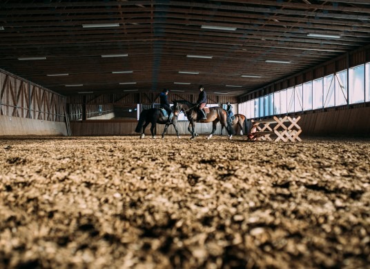 Gruppenreitstunde am Gut Weissenhof
