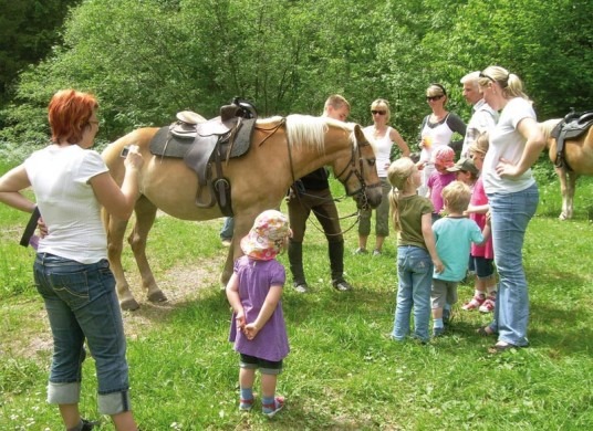 Reitkurs am Achensee
