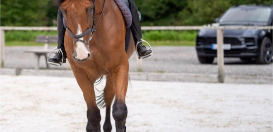 Wastlhof Midweek Riding Retreat 