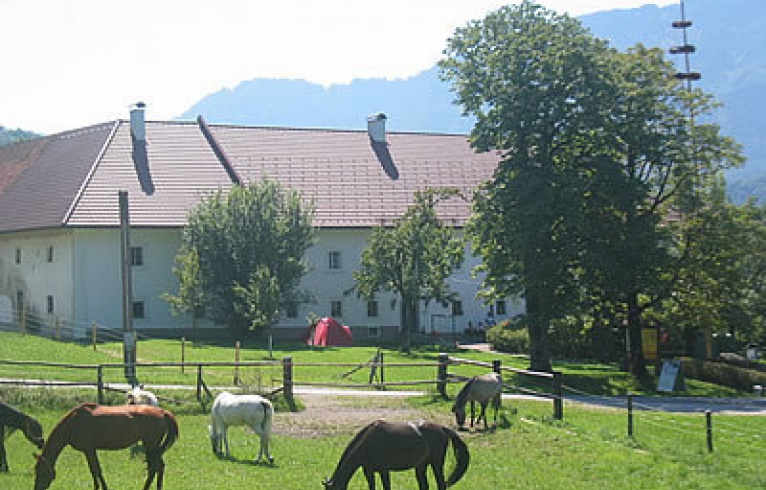 Single urlaub burgenland