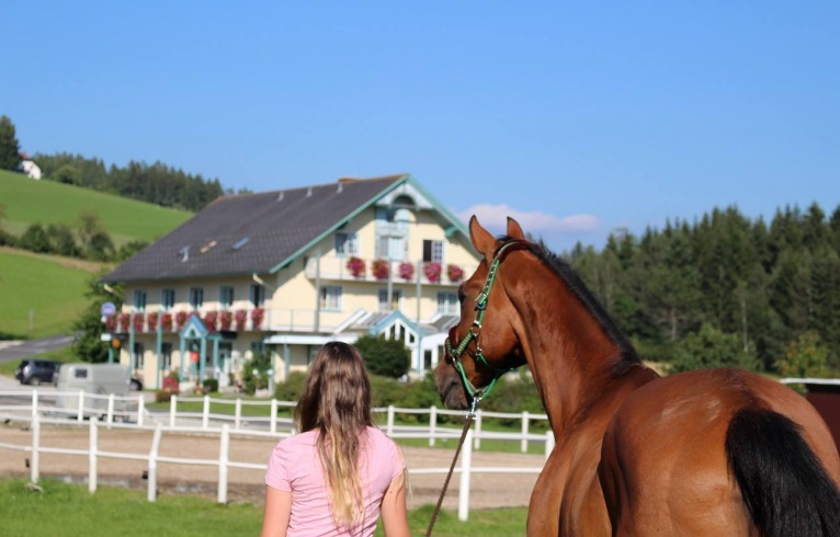 Www Hotels In Der Steiermark Mit Reithalle De Www Hotels In Der Steiermark Mit Reithalle De