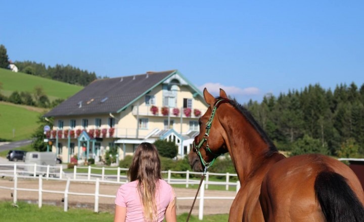 Das Leitner HOME & HORSE