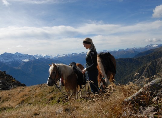 Landhotel Anna und Bio-Reiterhof Vill