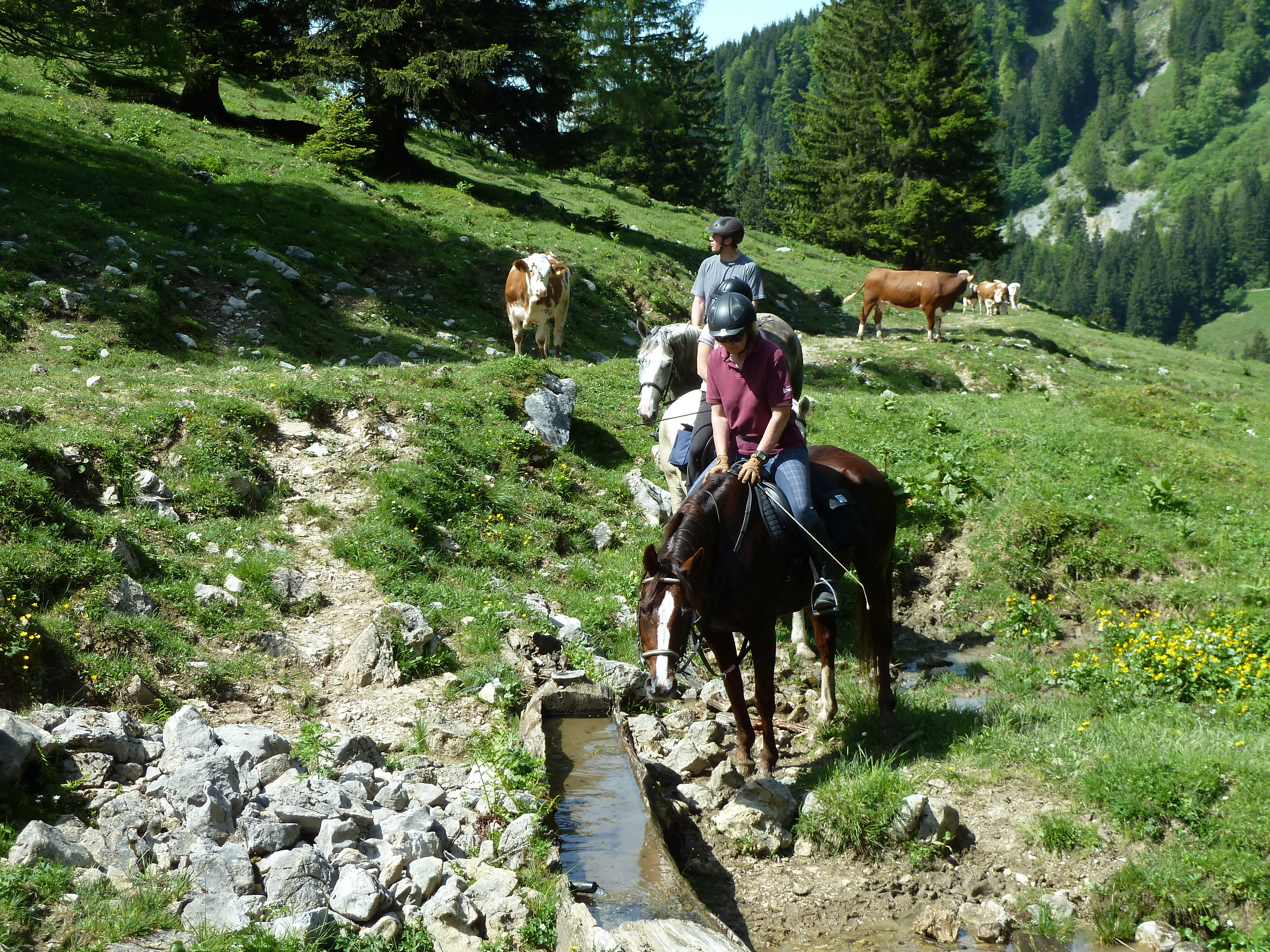 Tagesritt - Gut Enghagen